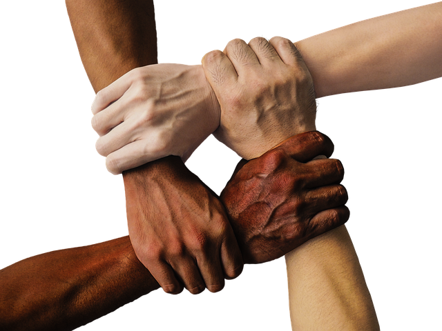 Ongoing partnership and support